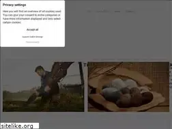 Sites similar to alpaca-onlineshop.ch