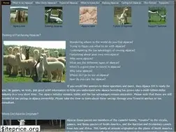 Sites similar to alpaca101.com