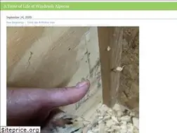 Sites similar to alpacalady.wordpress.com