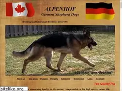 Sites similar to alpenhofgsd.ca