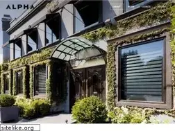 Sites similar to alphadesign.studio