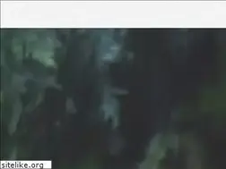 Sites similar to alphaenvironmental.net