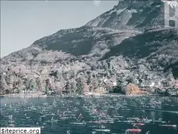 Sites similar to alpinelakestour.com