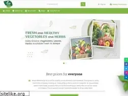 Sites similar to alraya.com.sa
