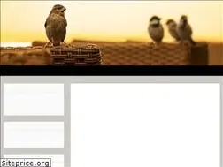 Sites similar to alsseghafa.blogfa.com