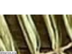 Sites similar to alstonvilleflorist.com