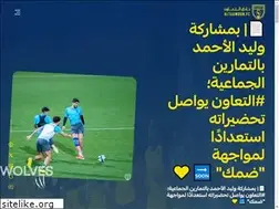 Sites similar to altaawounfc.com