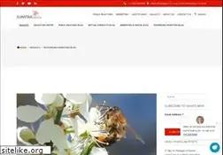 Sites similar to alternativematters.com
