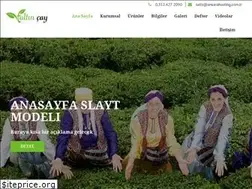 Sites similar to altincay.com
