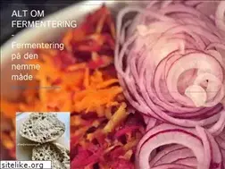 Sites similar to altomfermentering.dk