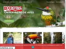 Sites similar to altoparaiso.com