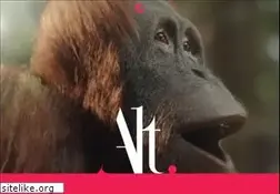 Sites similar to altvfx.com