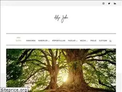Sites similar to alyasahin.com