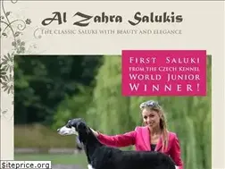 Sites similar to alzahra.cz
