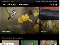 Sites similar to amalur.eus