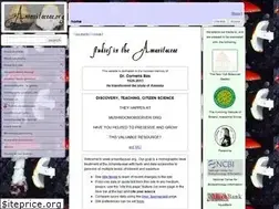 Sites similar to amanitaceae.org