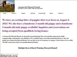 Sites similar to amarna-ra.com