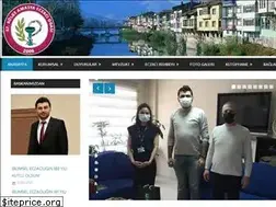 Sites similar to amasyaeo.org.tr