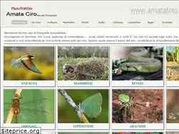 Sites similar to amatafoto.it