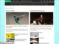 Sites similar to amatordenprofesyonele.blogspot.com