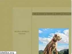 Sites similar to amatrulapetportraits.com