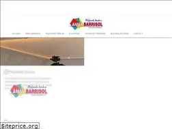 Sites similar to amay-barrisol.be