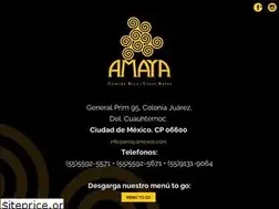 Sites similar to amayamexico.com