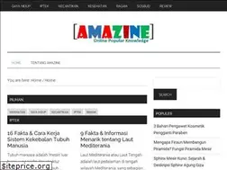 Sites similar to amazine.co