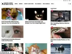 Sites similar to amazinganimalphotos.com