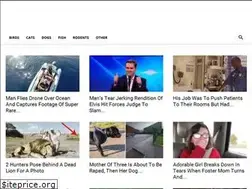 Sites similar to amazinganimals1.com