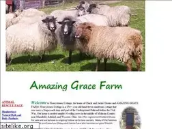 Sites similar to amazinggracefarms.com