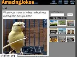 Sites similar to amazingjokes.com