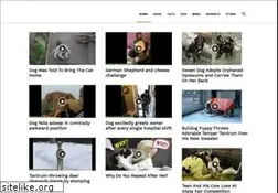Sites similar to amazinglifeofpets.com