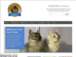 Sites similar to amazingsiberiancats.com