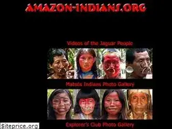 Sites similar to amazon-indians.org