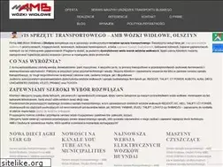 Sites similar to amb.olsztyn.pl