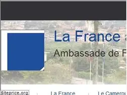 Sites similar to ambafrance-cm.org