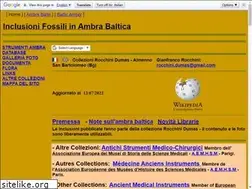 Sites similar to amber-ambre-inclusions.info