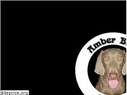 Sites similar to amberbookcompany.com