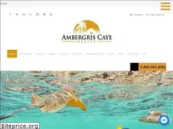 Sites similar to ambergriscayerealty.com