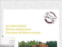 Sites similar to ambernose.com
