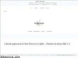 Sites similar to ambiencefloral.com
