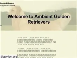 Sites similar to ambientgoldens.com