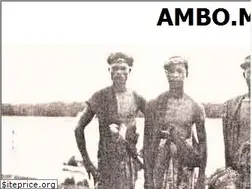 Sites similar to ambo.my
