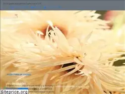 Sites similar to amborella.es