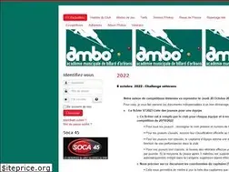 Sites similar to amborleans.fr