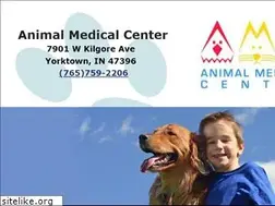 Sites similar to amc-vet.com
