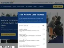 Sites similar to amcham.be