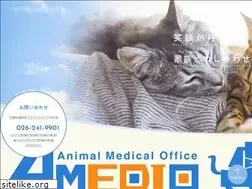 Sites similar to amedio.jp