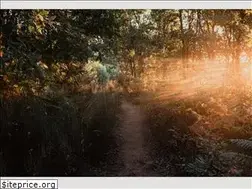 Sites similar to ameenarojee.co.uk